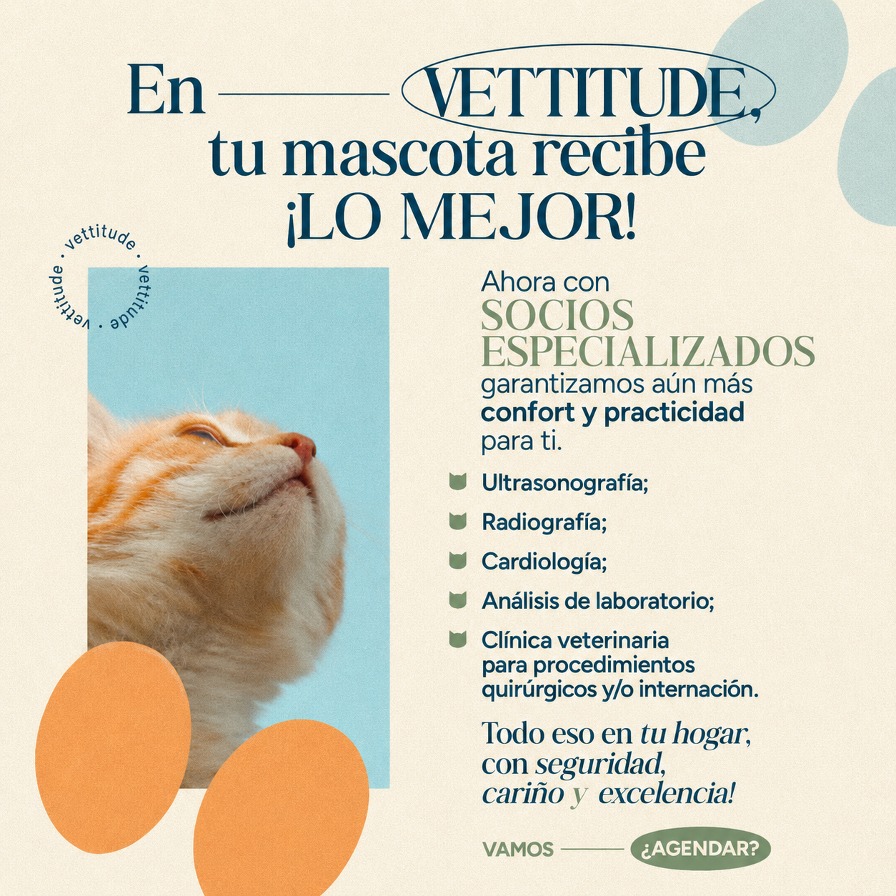 Post veterinaria 3