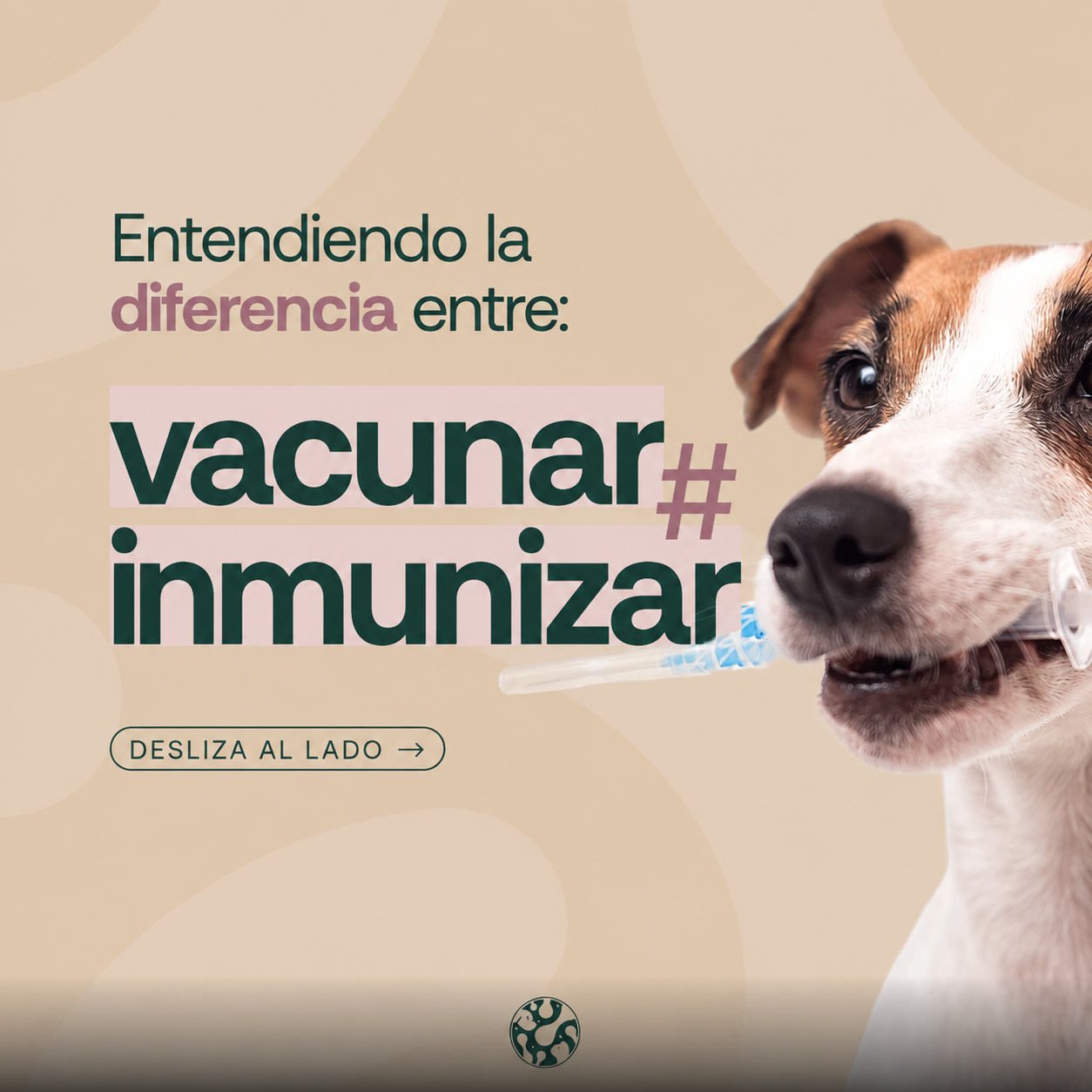 Post veterinaria 5