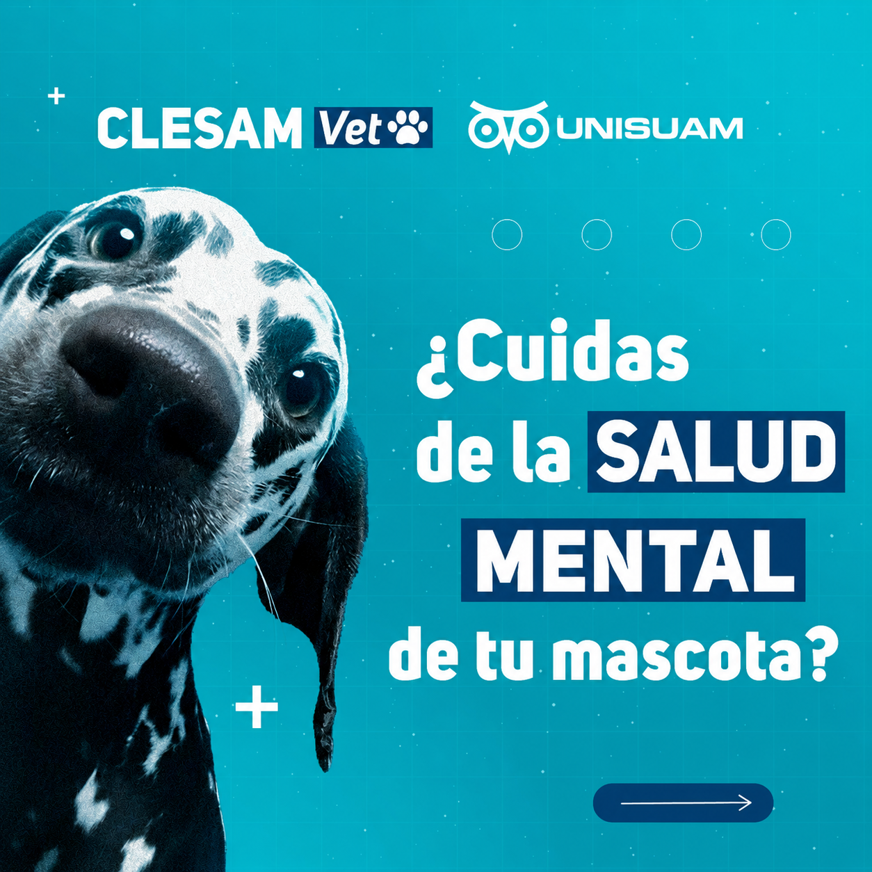 Post veterinaria muestra 3